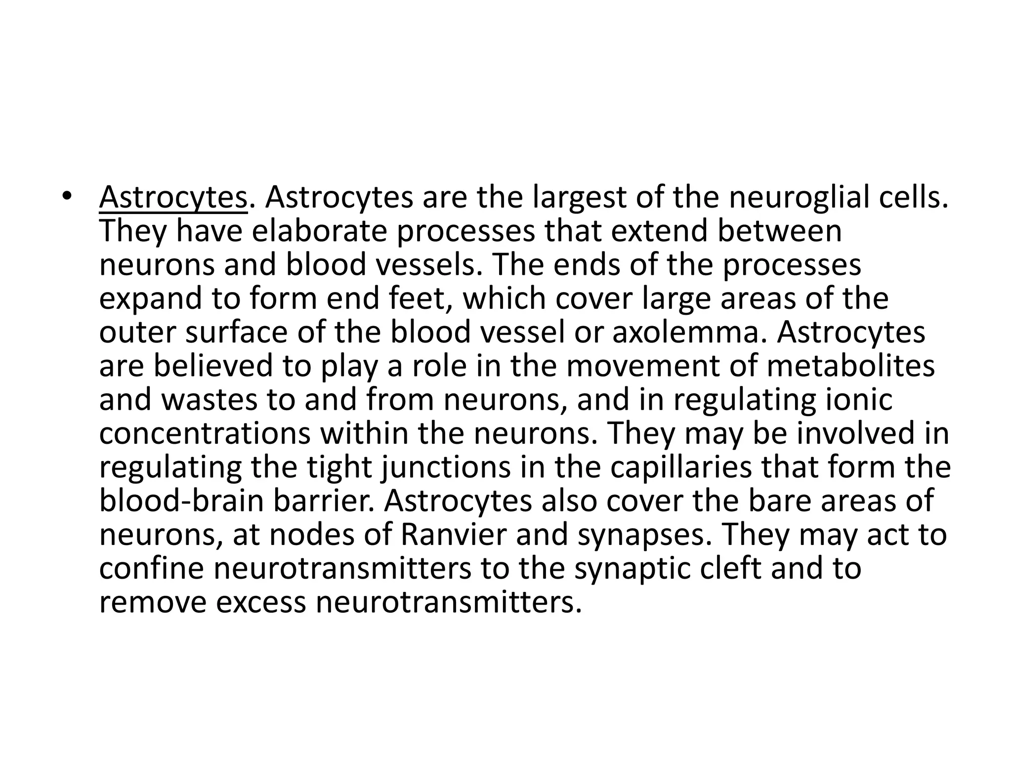 • Astrocytes. Astrocytes are the largest of the neuroglial cells.
They have elaborate processes that extend between
neurons and blood vessels. The ends of the processes
expand to form end feet, which cover large areas of the
outer surface of the blood vessel or axolemma. Astrocytes
are believed to play a role in the movement of metabolites
and wastes to and from neurons, and in regulating ionic
concentrations within the neurons. They may be involved in
regulating the tight junctions in the capillaries that form the
blood-brain barrier. Astrocytes also cover the bare areas of
neurons, at nodes of Ranvier and synapses. They may act to
confine neurotransmitters to the synaptic cleft and to
remove excess neurotransmitters.
 