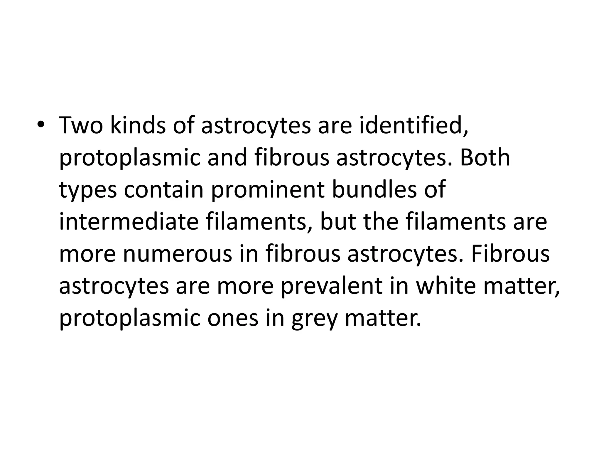 • Two kinds of astrocytes are identified,
protoplasmic and fibrous astrocytes. Both
types contain prominent bundles of
intermediate filaments, but the filaments are
more numerous in fibrous astrocytes. Fibrous
astrocytes are more prevalent in white matter,
protoplasmic ones in grey matter.
 