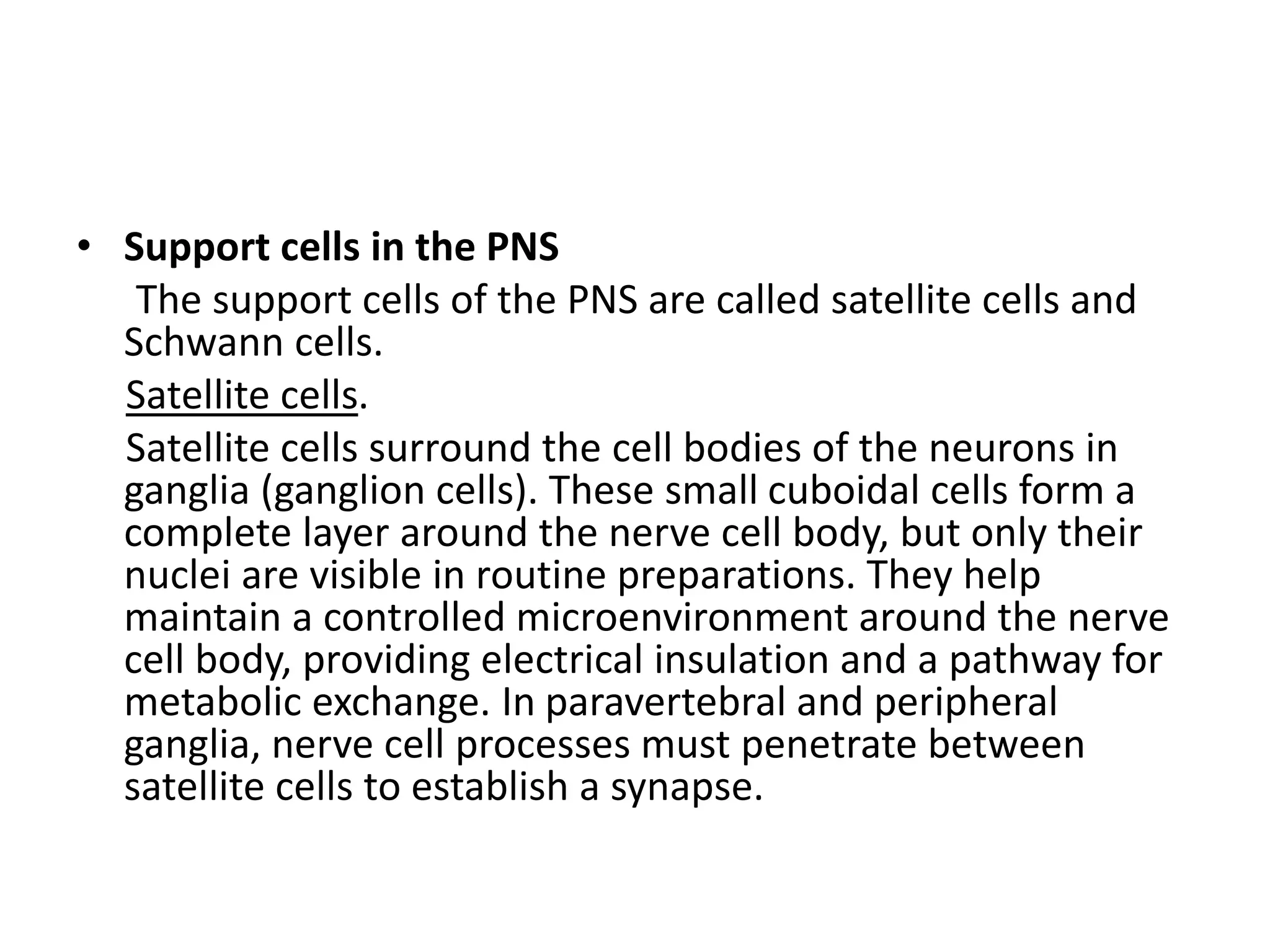 • Support cells in the PNS
The support cells of the PNS are called satellite cells and
Schwann cells.
Satellite cells.
Satellite cells surround the cell bodies of the neurons in
ganglia (ganglion cells). These small cuboidal cells form a
complete layer around the nerve cell body, but only their
nuclei are visible in routine preparations. They help
maintain a controlled microenvironment around the nerve
cell body, providing electrical insulation and a pathway for
metabolic exchange. In paravertebral and peripheral
ganglia, nerve cell processes must penetrate between
satellite cells to establish a synapse.
 