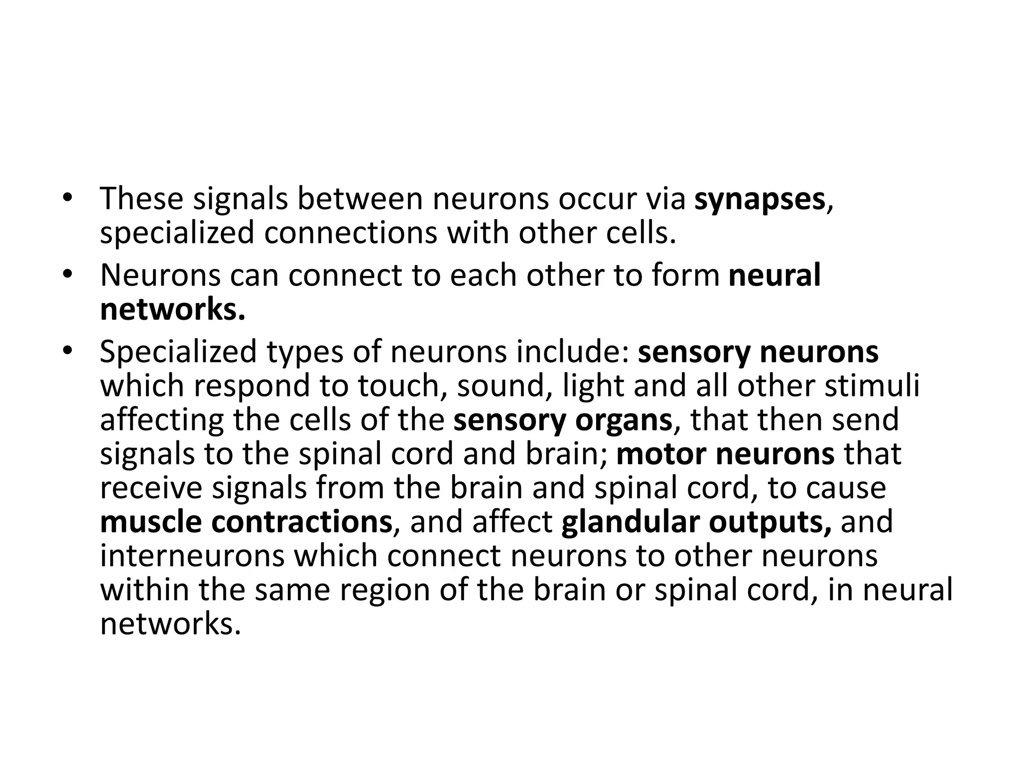 • These signals between neurons occur via synapses,
specialized connections with other cells.
• Neurons can connect to each other to form neural
networks.
• Specialized types of neurons include: sensory neurons
which respond to touch, sound, light and all other stimuli
affecting the cells of the sensory organs, that then send
signals to the spinal cord and brain; motor neurons that
receive signals from the brain and spinal cord, to cause
muscle contractions, and affect glandular outputs, and
interneurons which connect neurons to other neurons
within the same region of the brain or spinal cord, in neural
networks.
 