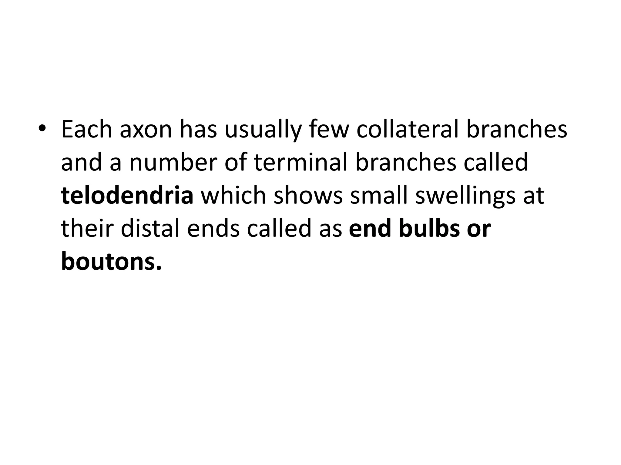 • Each axon has usually few collateral branches
and a number of terminal branches called
telodendria which shows small swellings at
their distal ends called as end bulbs or
boutons.
 