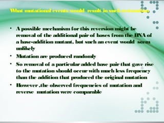 What mutational events would result in such restoration
• A possible mechanismforthis reversion might be
removal of the additional pairof bases fromthe DNA of
a base-addition mutant, but such an event would seem
unlikely
• Mutation are produced randomly
• So removal of a particularadded base pairthat gave rise
to the mutation should occurwith much less frequency
than the addition that produced the original mutation
• However,the observed frequencies of mutation and
reverse mutation were comparable
 