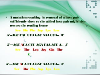 • A mutation resulting in removal of a base pair
sufficiently close to the added base pairmight also
restore the reading frame
Ser His Phe Asp Lys Leu
5’--AGC CAC UUA GAC AAA CUA-- 3’
5’—AGC ACA CUU AGA CAA ACU A-- 3’
Ser Thr Leu Arg Gln Thr
C
5’—AGC ACA UUA GAC AAA CUA-- 3’
Ser Thr Phe Asp Lys Leu
 