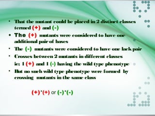 • That the mutant could be placed in 2 distinct classes
termed (+) and (-)
• The (+) mutants were considered to have one
additional pairof bases
• The (-) mutants were considered to have one lackpair
• Crosses between 2 mutants in different classes
ie; 1 (+) and 1 (-) having the wild type phenotype
• But no such wild type phenotype were formed by
crossing mutants in the same class
(+)*(+) or (-)*(-)
 