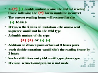• In (+) (-) double mutant arising the shifted reading
frame following the (+) locus would be incorrect
• The correct reading frame will restored at the
(-) locus
• Between the 2 sites of mutation , the amino acid
sequence would not be the wild type
• A double mutant of the type
(+) (+) or (-) (-)
• Addition of 2 bases pairs orlackof 2 bases pairs
• each double mutation would shift the reading frame by
2 bases
• Such a shift does not yield a wild type phenotype
• Because a functional protein is not made
 