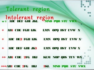 Tolerant region
Intolerant regionw T ABC DEF GHI JKL MNO PQR STU VWX
+ AB1 CDE FGH IJK LMN OPQ RST UVW X
+ ABC DE2 FGH IJK LMN OPQ RST UVW X
+ ABC DEF GHI JK3 LMN OPQ RST UVW X
++ AB1 CDE 2FG HIJ KLM NOP QRS TUV WX
+++AB1 CDE 2FG HIJ 3KL MNO PQR STU VWX
 