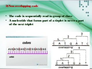 2)Non overlapping code
• The code is sequentially read in group of three
• A nucleotide that forms part of a tirplet is nevera part
of the next triplet
 