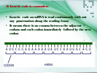 3) Genetic code is commaless
• Genetic code on mRNA is read continuously with out
any punctuation along the reading frame
• It means there is no comma between the adjacent
codons and each codon immediately follwed by the next
codon
 