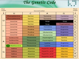 The Genetic Code
 