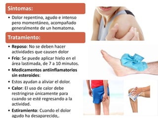 Síntomas:
• Dolor repentino, agudo e intenso
pero momentáneo, acompañado
generalmente de un hematoma.
Tratamiento:
• Reposo: No se deben hacer
actividades que causen dolor
• Frío: Se puede aplicar hielo en el
área lastimada, de 7 a 10 minutos.
• Medicamentos antiinflamatorios
sin esteroides:
• Estos ayudan a aliviar el dolor.
• Calor: El uso de calor debe
restringirse únicamente para
cuando se esté regresando a la
actividad.
• Estiramiento: Cuando el dolor
agudo ha desaparecido,.
 
