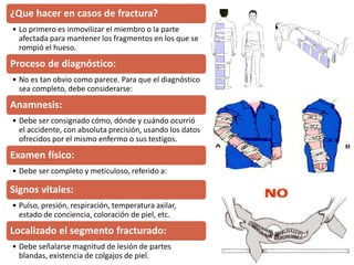 ¿Que hacer en casos de fractura?
• Lo primero es inmovilizar el miembro o la parte
afectada para mantener los fragmentos en los que se
rompió el hueso.
Proceso de diagnóstico:
• No es tan obvio como parece. Para que el diagnóstico
sea completo, debe considerarse:
Anamnesis:
• Debe ser consignado cómo, dónde y cuándo ocurrió
el accidente, con absoluta precisión, usando los datos
ofrecidos por el mismo enfermo o sus testigos.
Examen físico:
• Debe ser completo y meticuloso, referido a:
Signos vitales:
• Pulso, presión, respiración, temperatura axilar,
estado de conciencia, coloración de piel, etc.
Localizado el segmento fracturado:
• Debe señalarse magnitud de lesión de partes
blandas, existencia de colgajos de piel.
 
