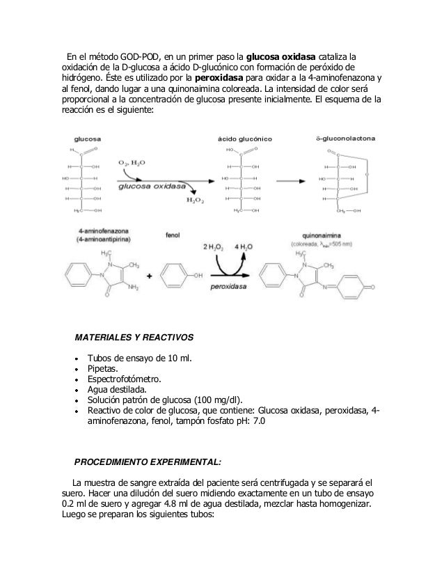 G.p.bioquimica y nutricion 1 (1) G.p.bioquimica y nutricion 1 (1)