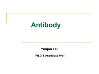 Antibody
Yanjun Lei
Ph.D & Associate Prof.
 