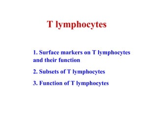 1. Surface markers on T lymphocytes
and their function
2. Subsets of T lymphocytes
3. Function of T lymphocytes
T lymphocytes
 