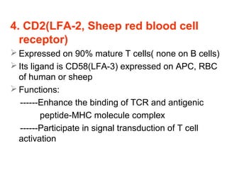 Sheep Rbc G.2014-immuno~ (8.adaptive immunity'tcell'-jyh) | PPT