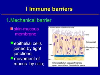 skin-mucous
membrane
epithelial cells
joined by tight
junctions;
movement of
mucus by cilia;
1.Mechanical barrier
ⅠⅠ Immune barriers
 