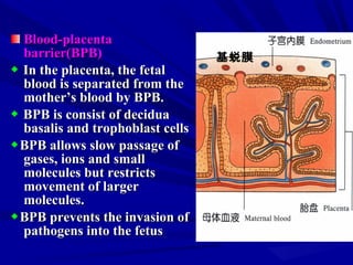 BloodBlood--placentaplacenta
barrier(BPB)barrier(BPB)
◆ In the placenta, the fetalIn the placenta, the fetal
blood is separated from theblood is separated from the
mother’s blood by BPB.mother’s blood by BPB.
◆ BPB is consist of deciduaBPB is consist of decidua
basalis and trophoblast cellsbasalis and trophoblast cells
◆BPB allows slow passage ofBPB allows slow passage of
gases, ions and smallgases, ions and small
molecules but restrictsmolecules but restricts
movement of largermovement of larger
molecules.molecules.
◆BPB prevents the invasion ofBPB prevents the invasion of
pathogens into the fetuspathogens into the fetus
基蜕膜
 