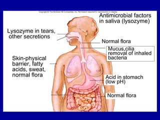 Antimicrobial factors
in saliva (lysozyme)
Normal flora
Mucus,cilia
removal of inhaled
bacteria
Acid in stomach
(low pH)
Normal flora
Lysozyme in tears,
other secretions
Skin-physical
barrier, fatty
acids, sweat,
normal flora
 