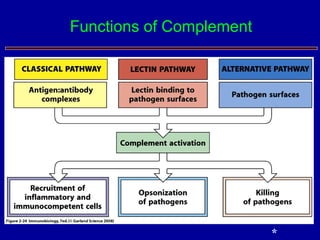 Functions of Complement
*
 