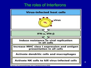 The roles of Interferons
*
 