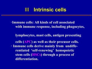 ⅢⅢ Intrinsic cells
﹡Immune cells: All kinds of cell associated
with immune response, including phagocytes,
lymphocytes, mast cells, antigen presenting
cells (APC) as well as their precusor cells.
Immune cells derive mainly from undiffe-﹡
rentiated ‘self-renewing’ hemopoietic
stem cells (HSCs) through a process of
differentiation.
 
