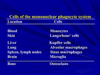Cells of the mononuclear phagocyte system
Location Cells
Blood Monocytes
Skin Langerhans’ cells
Liver Kupffer cells
Lung Alveolar macrophages
Spleen, lymph nodes Sinus macrophages
Brain Microglia
Bone Osteoclasts
 