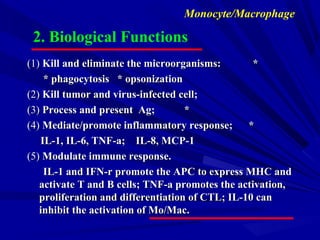 Monocyte/Macrophage
2. Biological Functions
(1)(1) Kill and eliminate the microorganisms: *Kill and eliminate the microorganisms: *
* phagocytosis * opsonization* phagocytosis * opsonization
(2)(2) Kill tumor and virus-infected cell;Kill tumor and virus-infected cell;
(3)(3) Process and present Ag; *Process and present Ag; *
(4)(4) Mediate/promote inflammatory response; *Mediate/promote inflammatory response; *
IL-1, IL-6, TNF-a; IL-8, MCP-1IL-1, IL-6, TNF-a; IL-8, MCP-1
(5)(5) Modulate immune response.Modulate immune response.
IL-1 and IFN-r promote the APC to express MHC andIL-1 and IFN-r promote the APC to express MHC and
activate T and B cells; TNF-a promotes the activation,activate T and B cells; TNF-a promotes the activation,
proliferation and differentiation of CTL; IL-10 canproliferation and differentiation of CTL; IL-10 can
inhibit the activation of Mo/Mac.inhibit the activation of Mo/Mac.
 