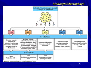 Monocyte/Macrophage
*
 