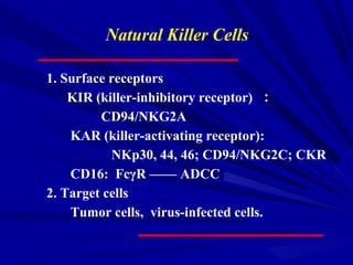1. Surface receptors
KIR (killer-inhibitory receptor) ：
CD94/NKG2A
KAR (killer-activating receptor):
NKp30, 44, 46; CD94/NKG2C; CKR
CD16: FcγR —— ADCC
2. Target cells
Tumor cells, virus-infected cells.
Natural Killer Cells
 