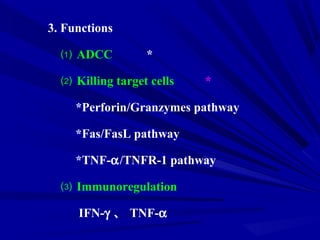 3. Functions
⑴ ADCC *
⑵ Killing target cells *
*Perforin/Granzymes pathway
*Fas/FasL pathway
*TNF-α/TNFR-1 pathway
⑶ Immunoregulation
IFN-γ 、 TNF-α
 