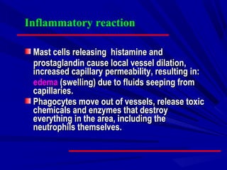 Inflammatory reaction
Mast cellsMast cells releasreleasinging histamine andhistamine and
prostaglandin cause local vessel dilationprostaglandin cause local vessel dilation,,
increased capillary permeabilityincreased capillary permeability,, resulting in:resulting in:
edemaedema (swelling) due to fluids seeping from(swelling) due to fluids seeping from
capillariescapillaries..
PPhagocytes move out of vesselshagocytes move out of vessels, release toxic, release toxic
chemicals and enzymes that destroychemicals and enzymes that destroy
everything in the area, including theeverything in the area, including the
neutrophils themselves.neutrophils themselves.
 