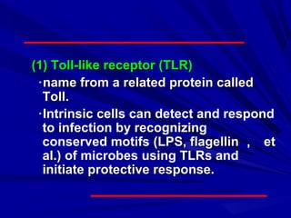 (1) Toll-like receptor (TLR)(1) Toll-like receptor (TLR)
﹡﹡name from a related protein calledname from a related protein called
Toll.Toll.
﹡﹡Intrinsic cells can detect and respond
to infection by recognizing
conserved motifs (LPS, flagellin(LPS, flagellin ，， etet
al.)al.) of microbes using TLRs and
initiate protective response.initiate protective response.
 