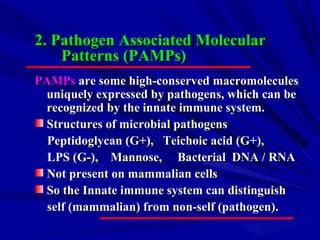 2. Pathogen Associated Molecular2. Pathogen Associated Molecular
Patterns (PAMPs)Patterns (PAMPs)
PAMPsPAMPs are some high-conserved macromoleculesare some high-conserved macromolecules
uniquely expressed by pathogens, which can beuniquely expressed by pathogens, which can be
recognized by the innate immune system.recognized by the innate immune system.
Structures of microbial pathogensStructures of microbial pathogens
Peptidoglycan (G+), Teichoic acid (G+),Peptidoglycan (G+), Teichoic acid (G+),
LPS (G-), Mannose, Bacterial DNA / RNALPS (G-), Mannose, Bacterial DNA / RNA
Not present on mammalian cellsNot present on mammalian cells
So the Innate immune system can distinguishSo the Innate immune system can distinguish
self (mammalian) from non-self (pathogen).self (mammalian) from non-self (pathogen).
 