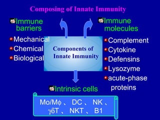 Components of
Innate Immunity
Mechanical
Chemical
Biological
Immune
barriers
Immune
molecules
Complement
Cytokine
Defensins
Lysozyme
acute-phase
proteins
Mo/Mφ 、 DC 、 NK 、
γδT 、 NKT 、 B1
Intrinsic cells
Composing of Innate Immunity
 