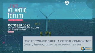 EXPORT DYNAMIC CABLE, A CRITICAL COMPONENT:
CONTEXT, FEEDBACK, STATE OF THE ART AND INVESTIGATIONS

 
