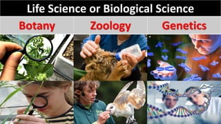 Life Science or Biological Science
Botany Zoology Genetics
 