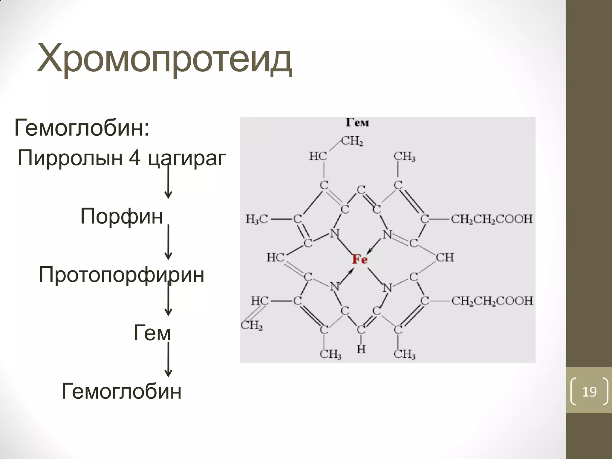Нийлмэл уураг | PPT