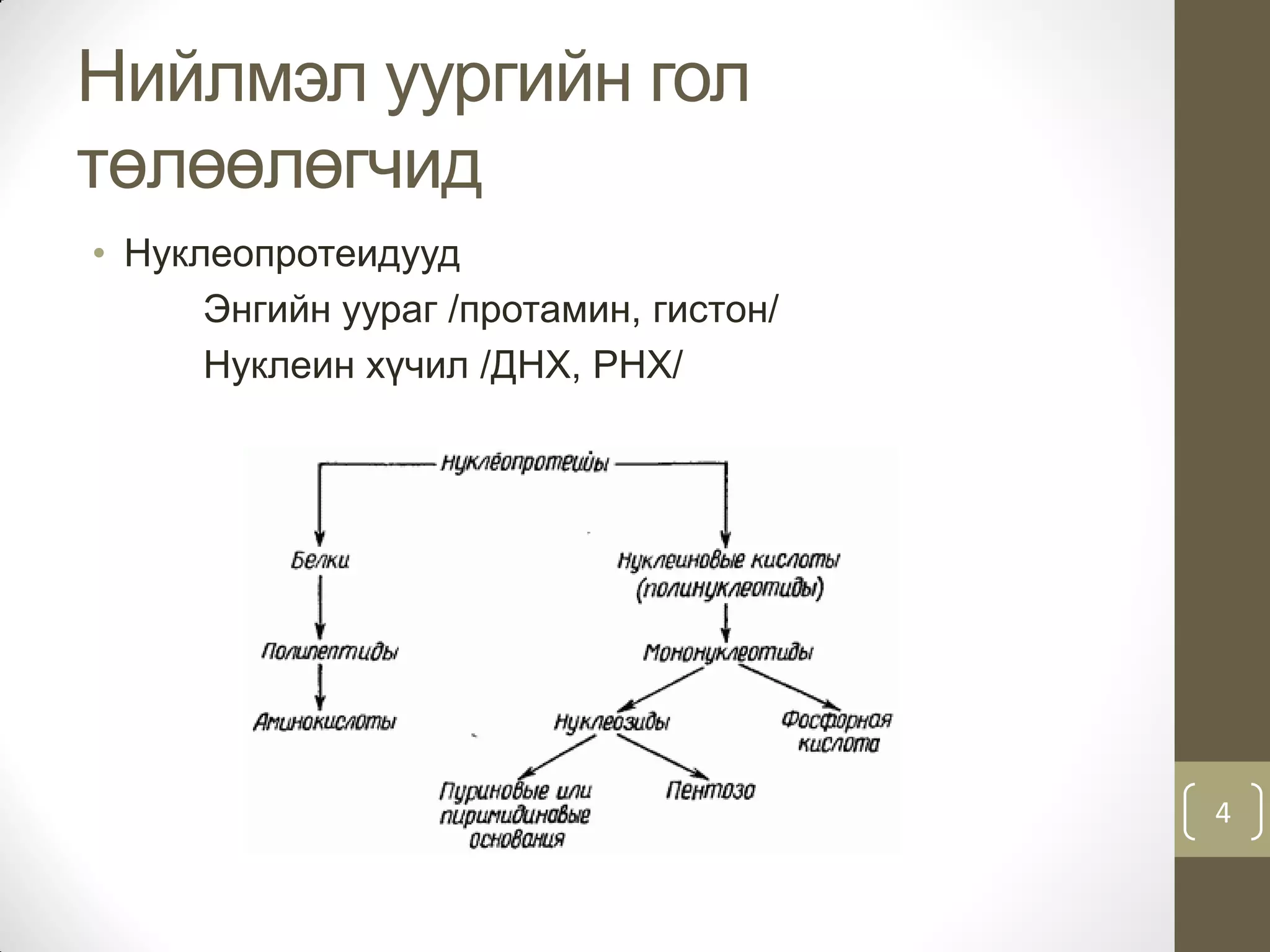 Нийлмэл уураг | PPT