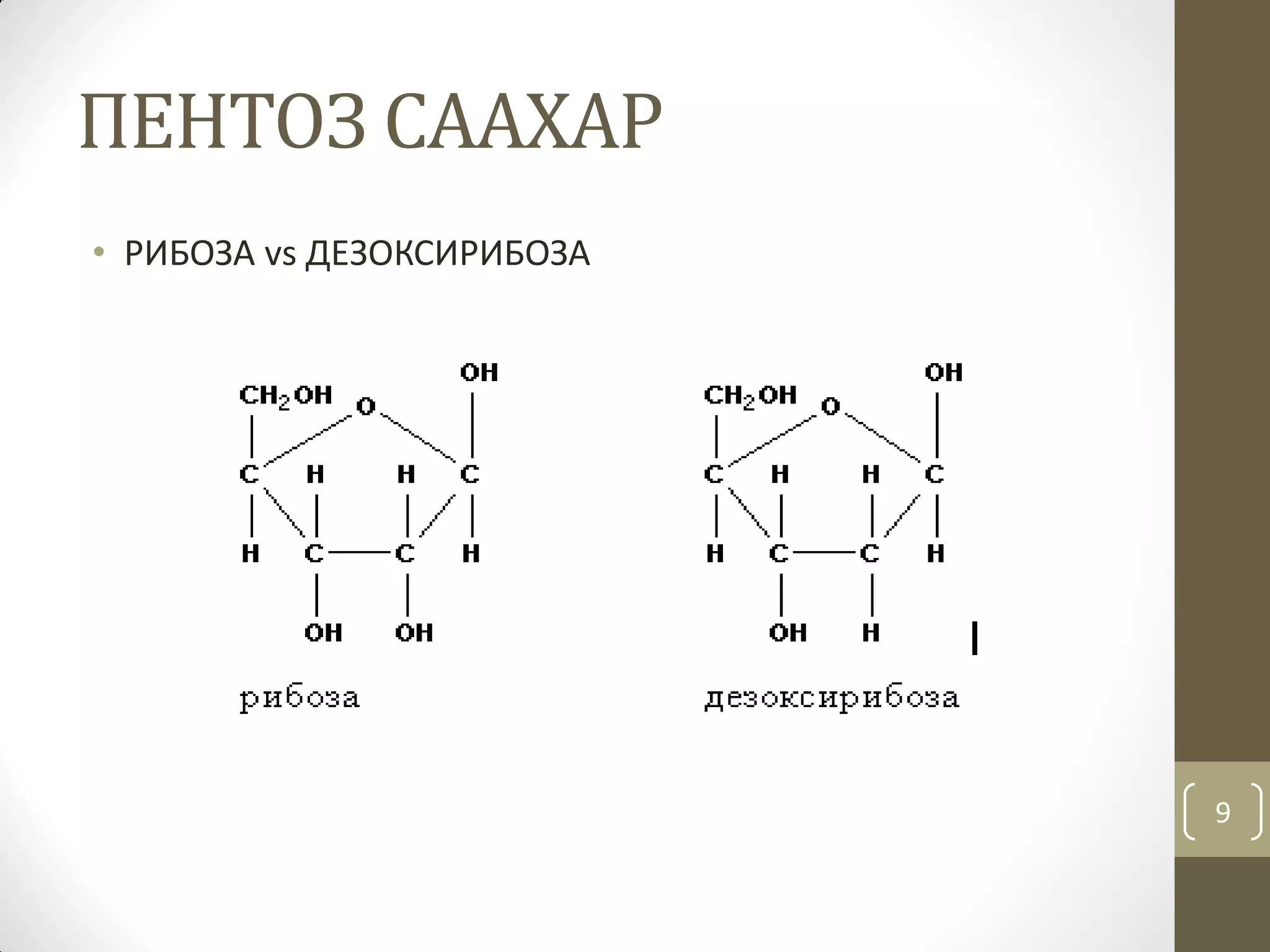 Нийлмэл уураг | PPT