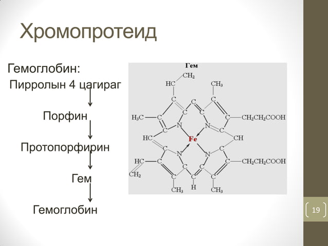 Нийлмэл уураг | PPT