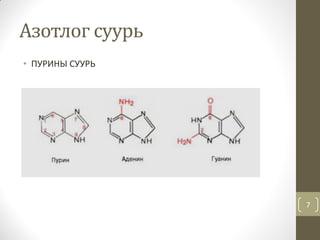 Нийлмэл уураг | PPT