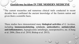 Ganoderma lucidum IN THE MODERN MEDICINE
The current researches and numerous clinical trails conducted in recent
decades have confirmed the ancient knowledge of the Eastern nation and
given them a scientific basis.
These studies have demonstrated many biological activities of G. lucidum,
including immunomodulating, cytotoxic, antioxidative, antimicrobial,
anti-inflammatory, hypoglycemic antiallergic, neuroprotective, etc. (Chang
et al. 2006; Zhou et al. 2010; Bishop et al. 2015).
 