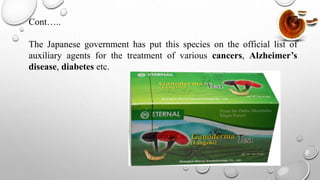 Cont…..
The Japanese government has put this species on the official list of
auxiliary agents for the treatment of various cancers, Alzheimer’s
disease, diabetes etc.
 