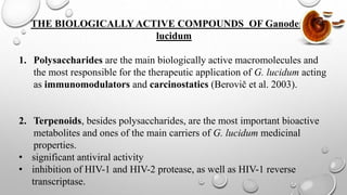 THE BIOLOGICALLY ACTIVE COMPOUNDS OF Ganoderma
lucidum
1. Polysaccharides are the main biologically active macromolecules and
the most responsible for the therapeutic application of G. lucidum acting
as immunomodulators and carcinostatics (Berovič et al. 2003).
2. Terpenoids, besides polysaccharides, are the most important bioactive
metabolites and ones of the main carriers of G. lucidum medicinal
properties.
• significant antiviral activity
• inhibition of HIV-1 and HIV-2 protease, as well as HIV-1 reverse
transcriptase.
 