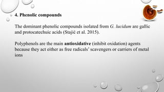 4. Phenolic compounds
The dominant phenolic compounds isolated from G. lucidum are gallic
and protocatechuic acids (Stajić et al. 2015).
Polyphenols are the main antioxidative (inhibit oxidation) agents
because they act either as free radicals’ scavengers or carriers of metal
ions
 