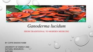 Ganoderma lucidum
FROM TRADITIONAL TO MODERN MEDICINE
BY COFFIE BAIDOO RABBI
UNIVERSITY OF ENERGY AND
NATURAL RESOURCES-
SUNYANI
 