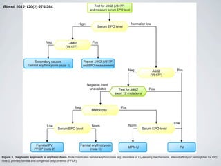 Figure 3. Diagnostic approach to erythrocytosis. Note 1 indicates familial erythrocyosis (eg, disorders of O2-sensing mechanisms, altered afﬁnity of hemoglobin for O2);
note 2, primary familial and congenital polycythemia (PFCP).
Blood. 2012;120(2):275-284
 