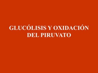 GLUCÓLISIS Y OXIDACIÓN
DEL PIRUVATO
 