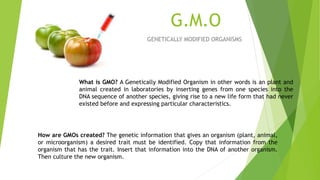 G.M.O
GENETICALLY MODIFIED ORGANISMS
What is GMO? A Genetically Modified Organism in other words is an plant and
animal created in laboratories by inserting genes from one species into the
DNA sequence of another species, giving rise to a new life form that had never
existed before and expressing particular characteristics.
How are GMOs created? The genetic information that gives an organism (plant, animal,
or microorganism) a desired trait must be identified. Copy that information from the
organism that has the trait. Insert that information into the DNA of another organism.
Then culture the new organism.
 
