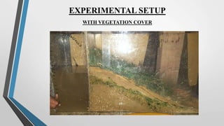 EXPERIMENTAL SETUP
WITH VEGETATION COVER
 
